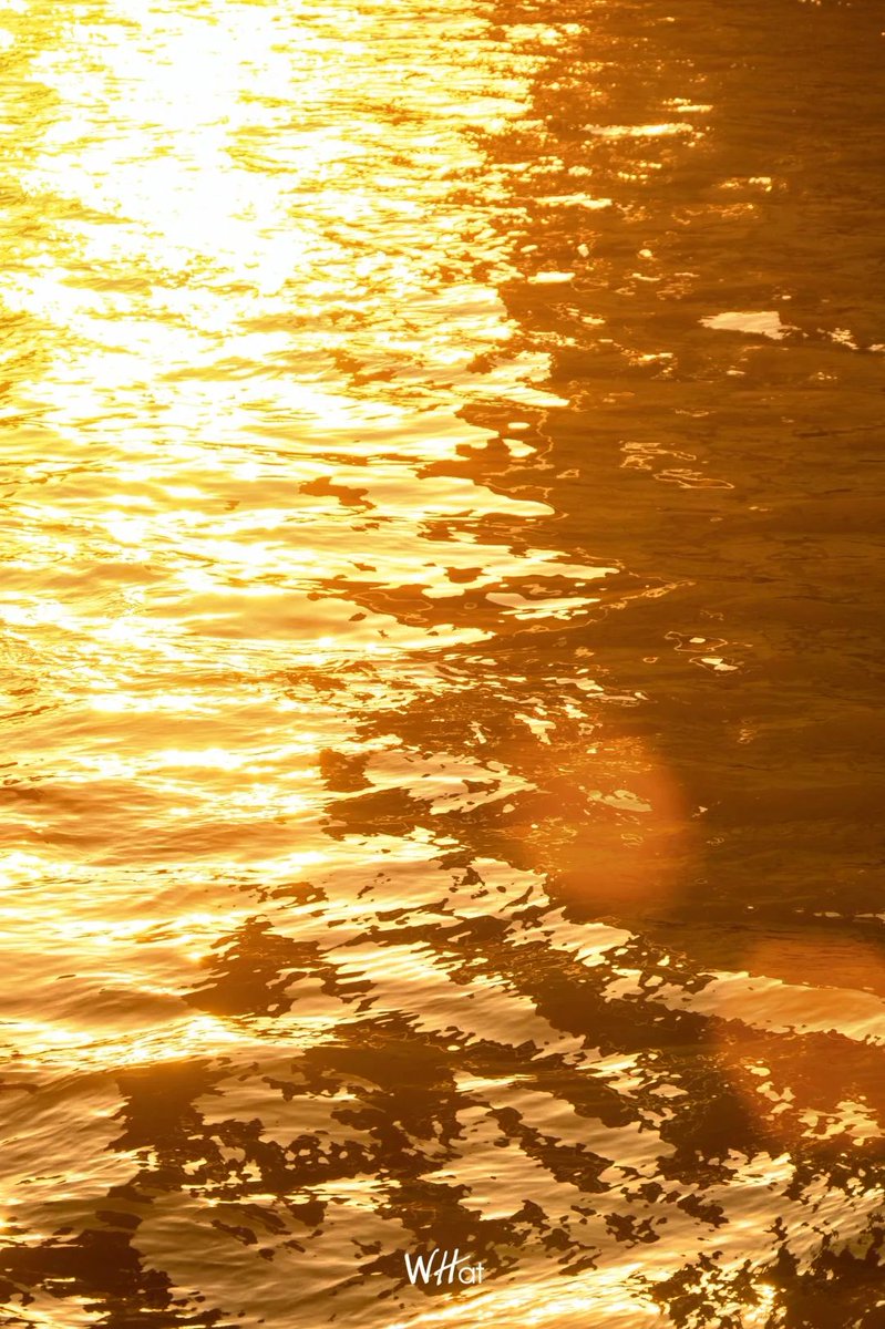 Janet Mai tweet media