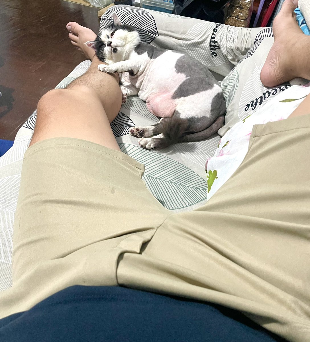 🎁🎁คุณของขวัญ🎁🎁 tweet media