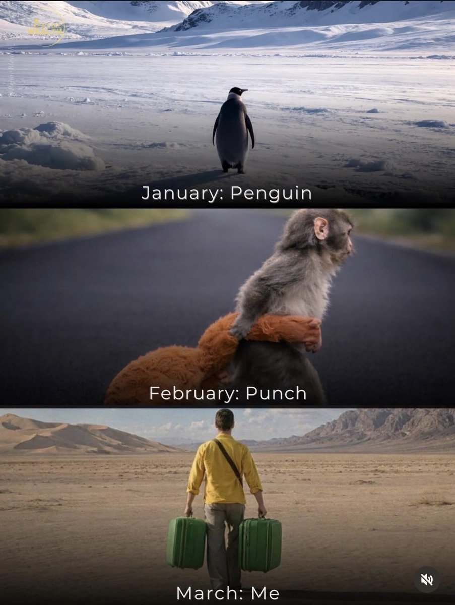 $me 4jejuq882uqciPDVYrjtniaNcmA4sUFhNGoDWzKopump