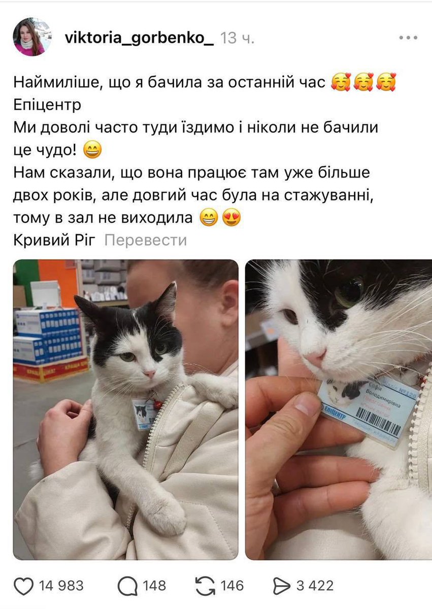 бро скинул мем (@bromemss) on Twitter photo 