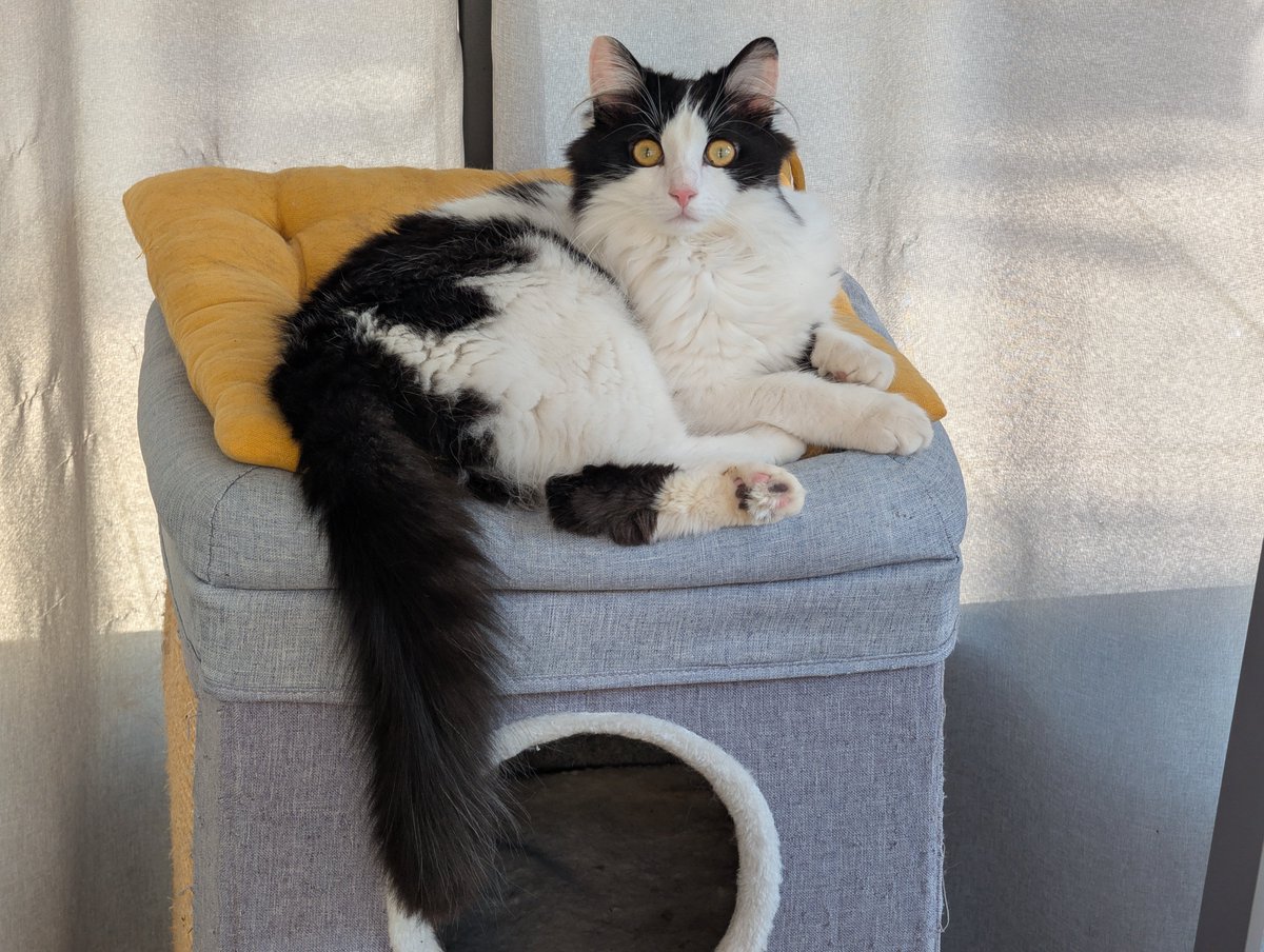 Hugo Frenel tweet media