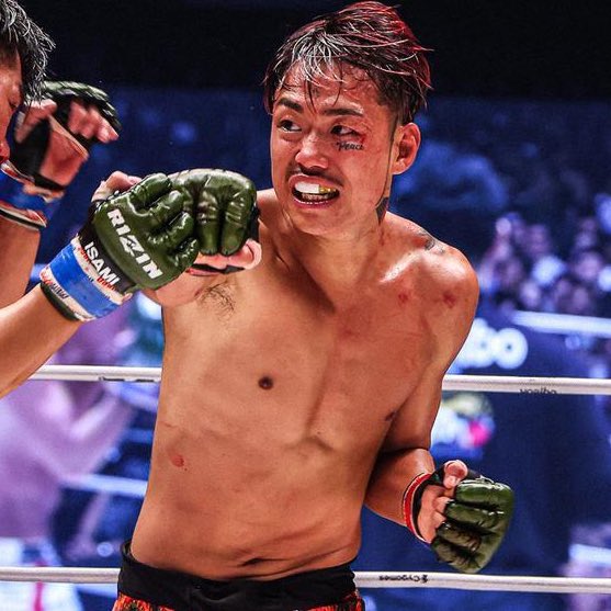 ファイトメモリー | Fight Memory tweet media