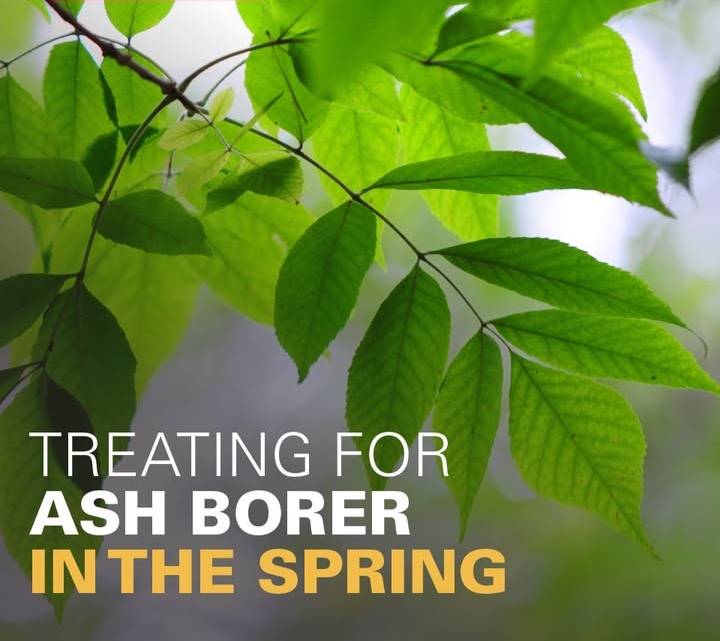 ISU Extension Store tweet media