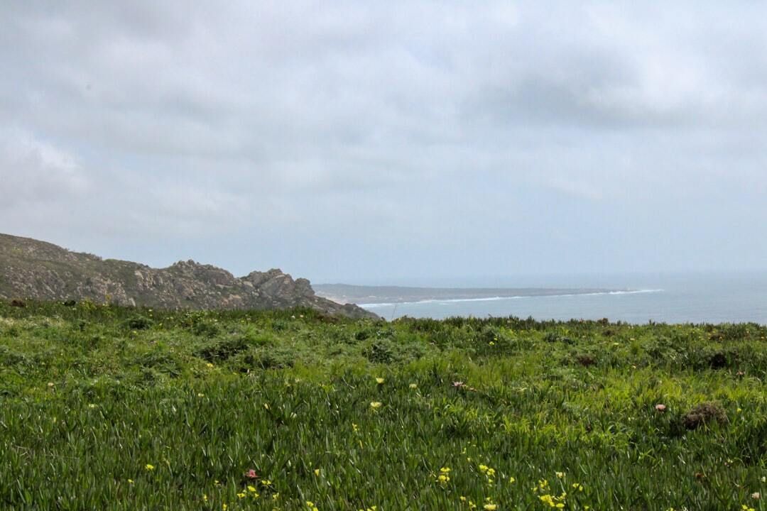 Eric the IT Guy tweet media