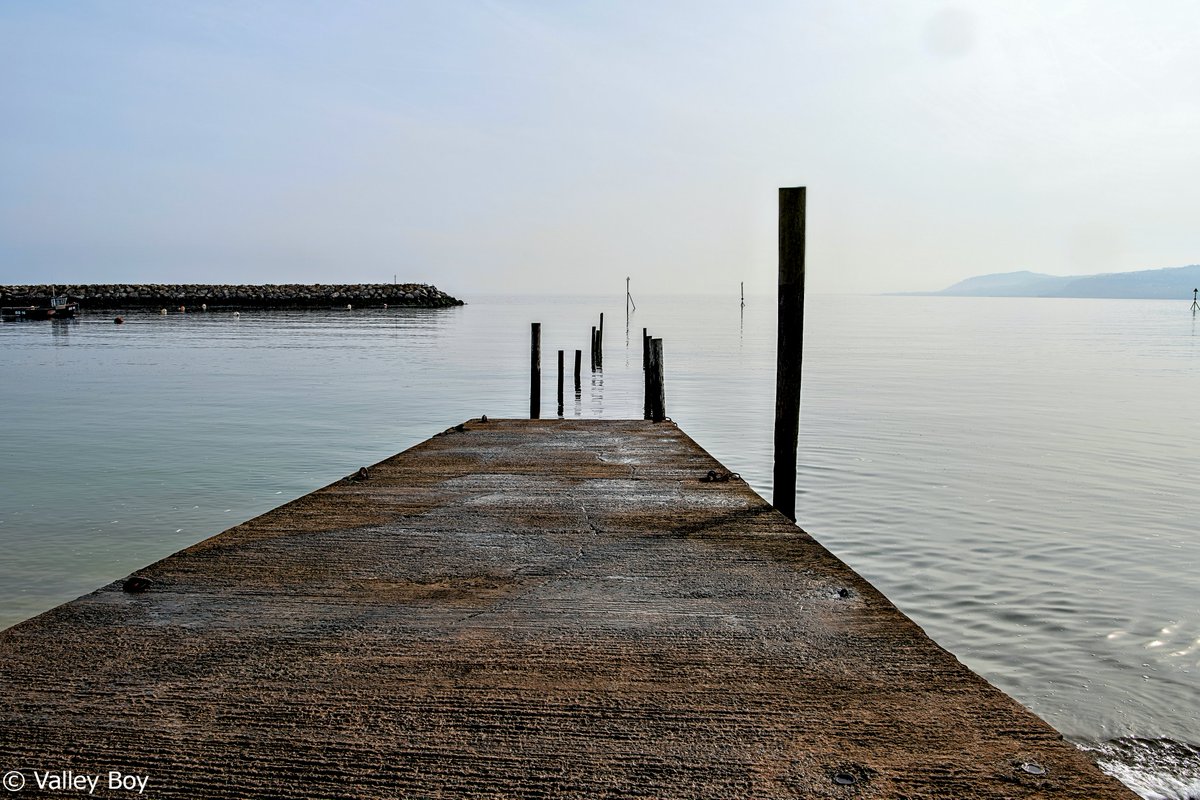 ValleyBoy tweet media