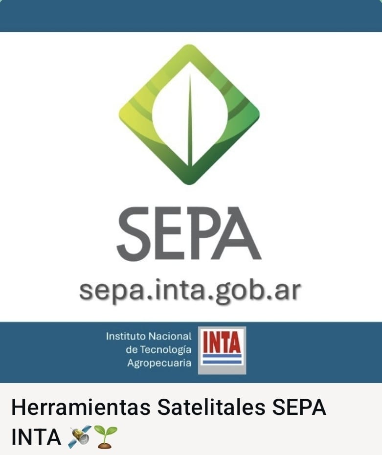 Lucas Gusmerotti tweet media