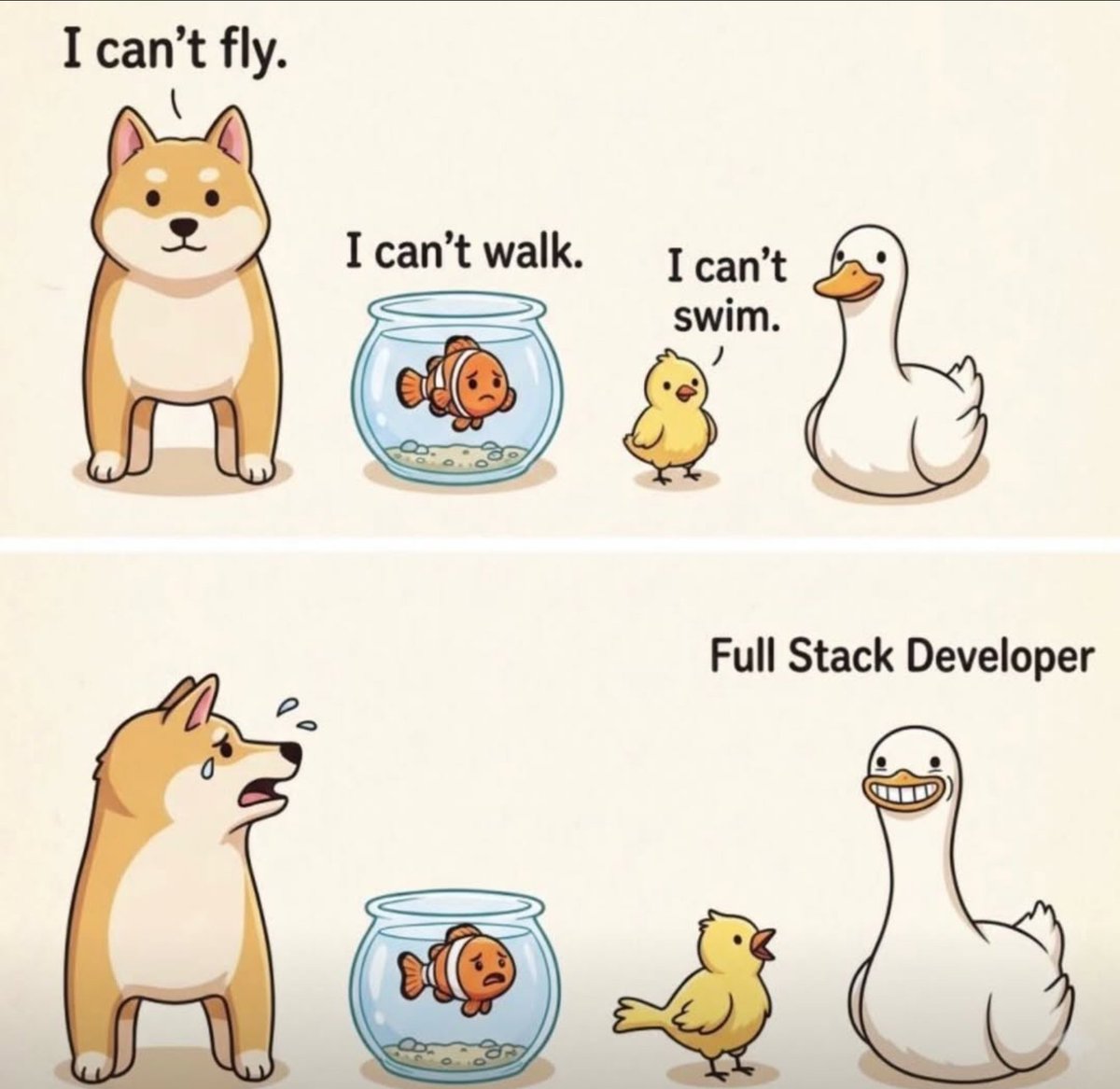 Python Developer tweet media