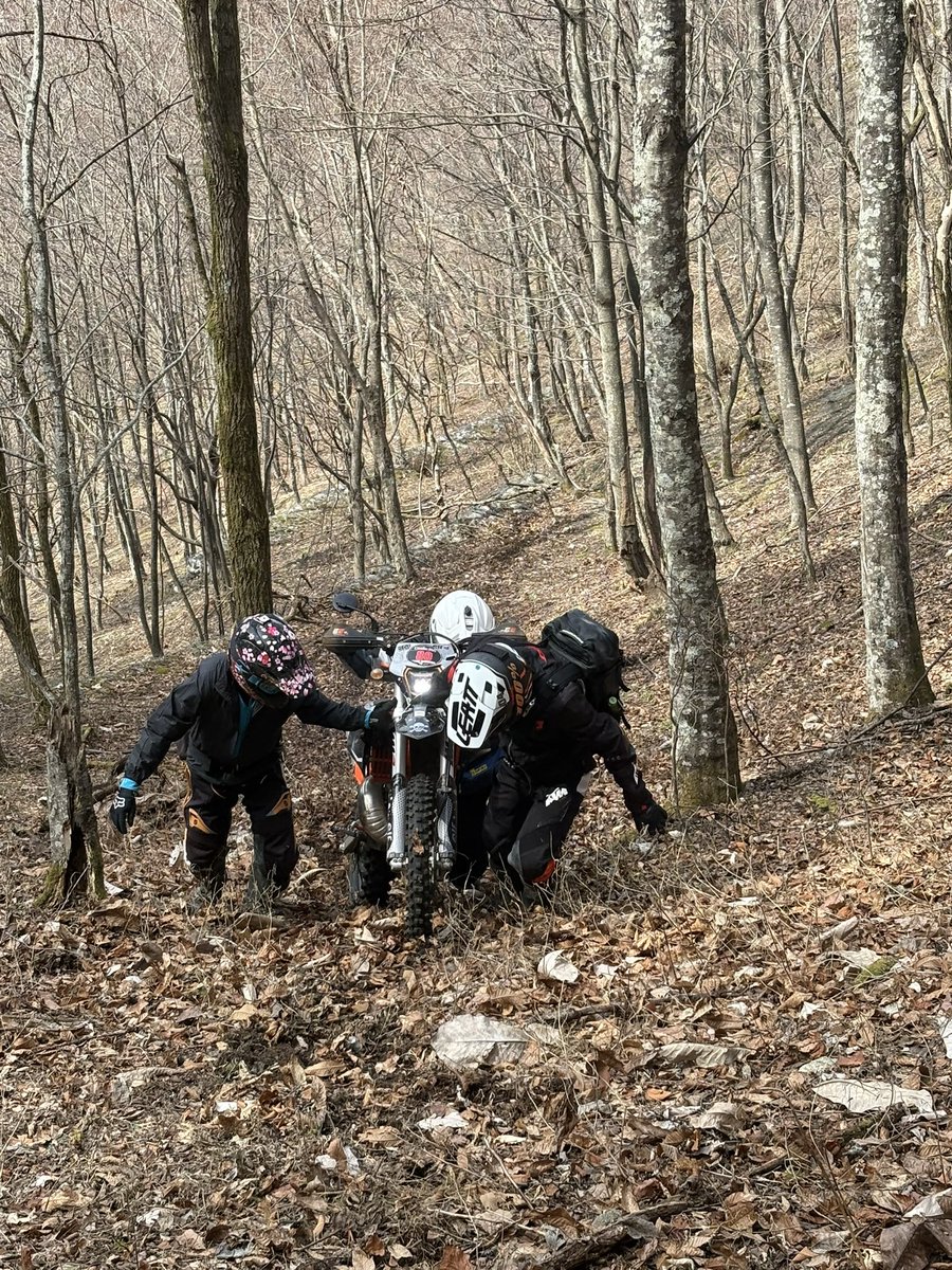 おかっちゃん67 tweet media