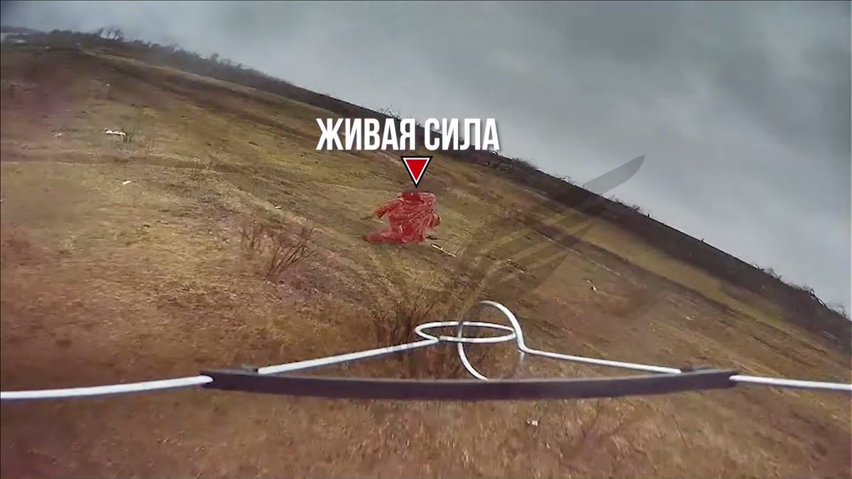 Armata🇹🇭🇹🇼 tweet media