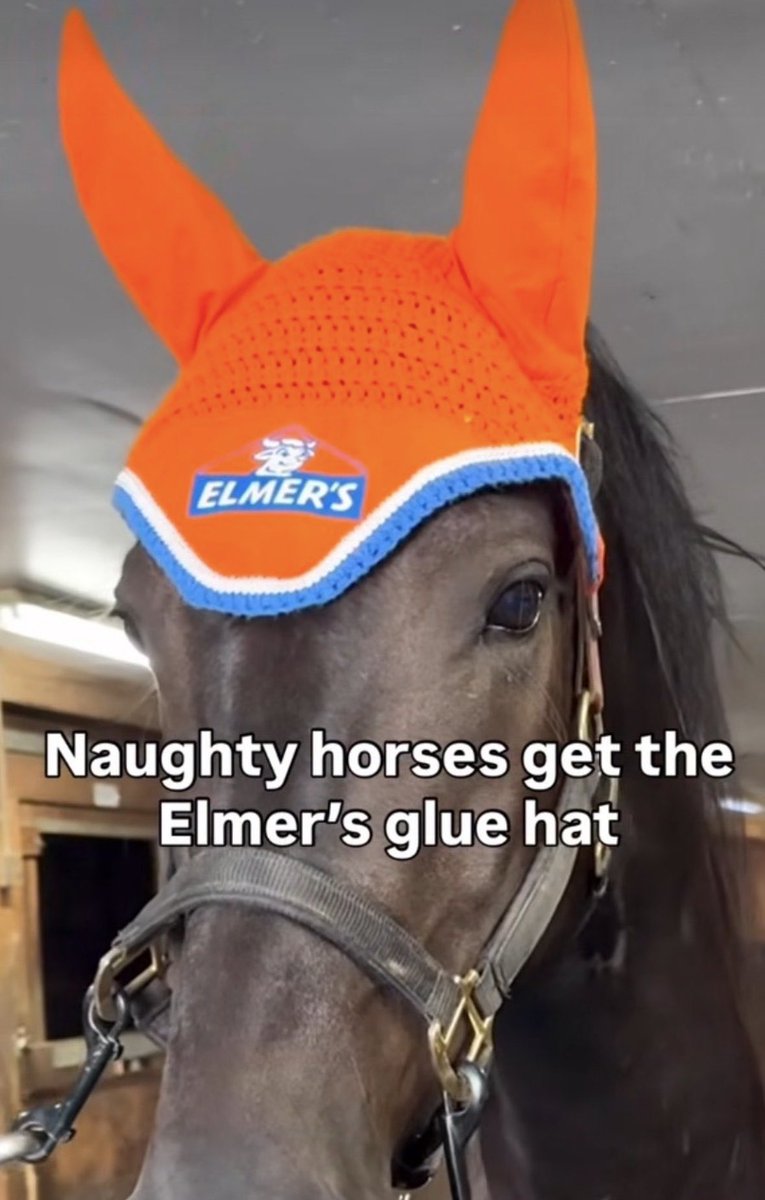 Holy_Shock 🇺🇸 on X.com tweet media