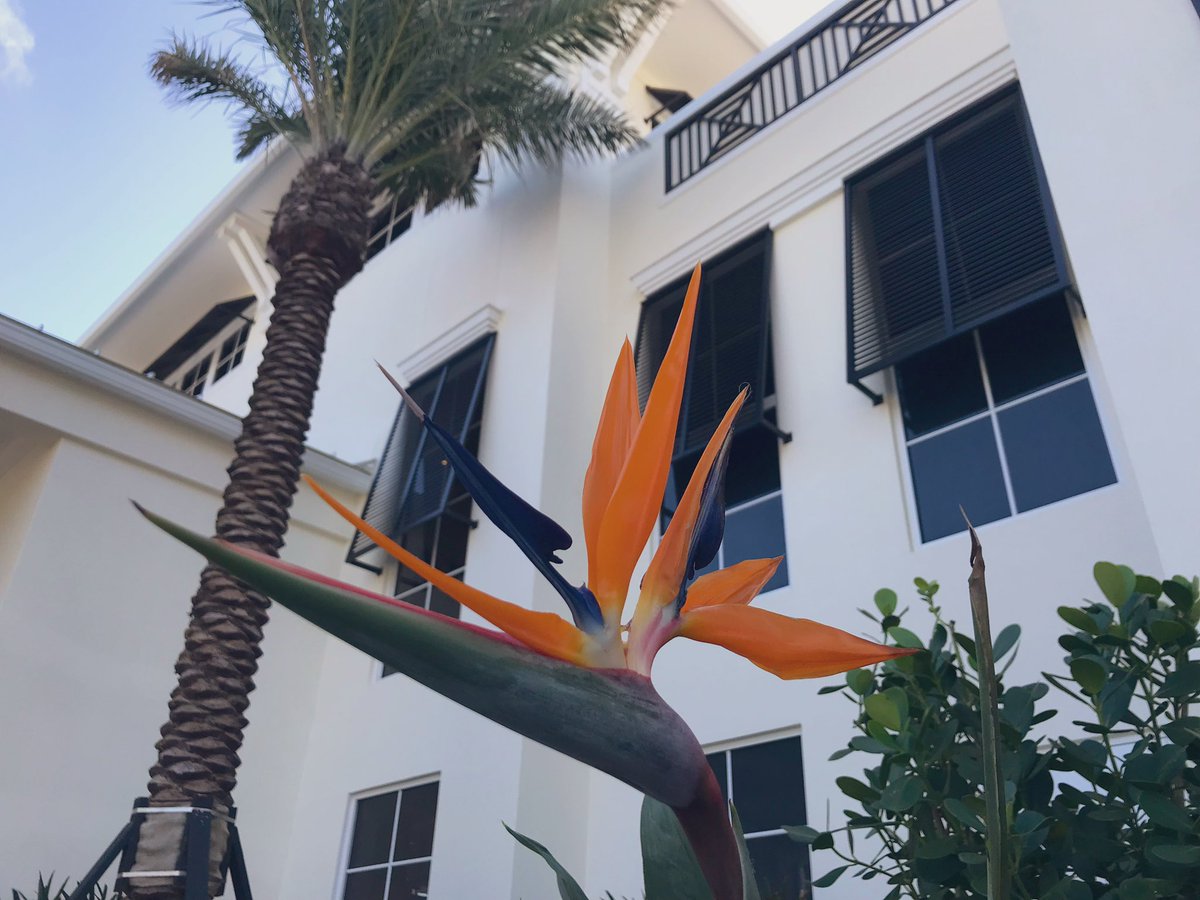 DiscoverMartin tweet media