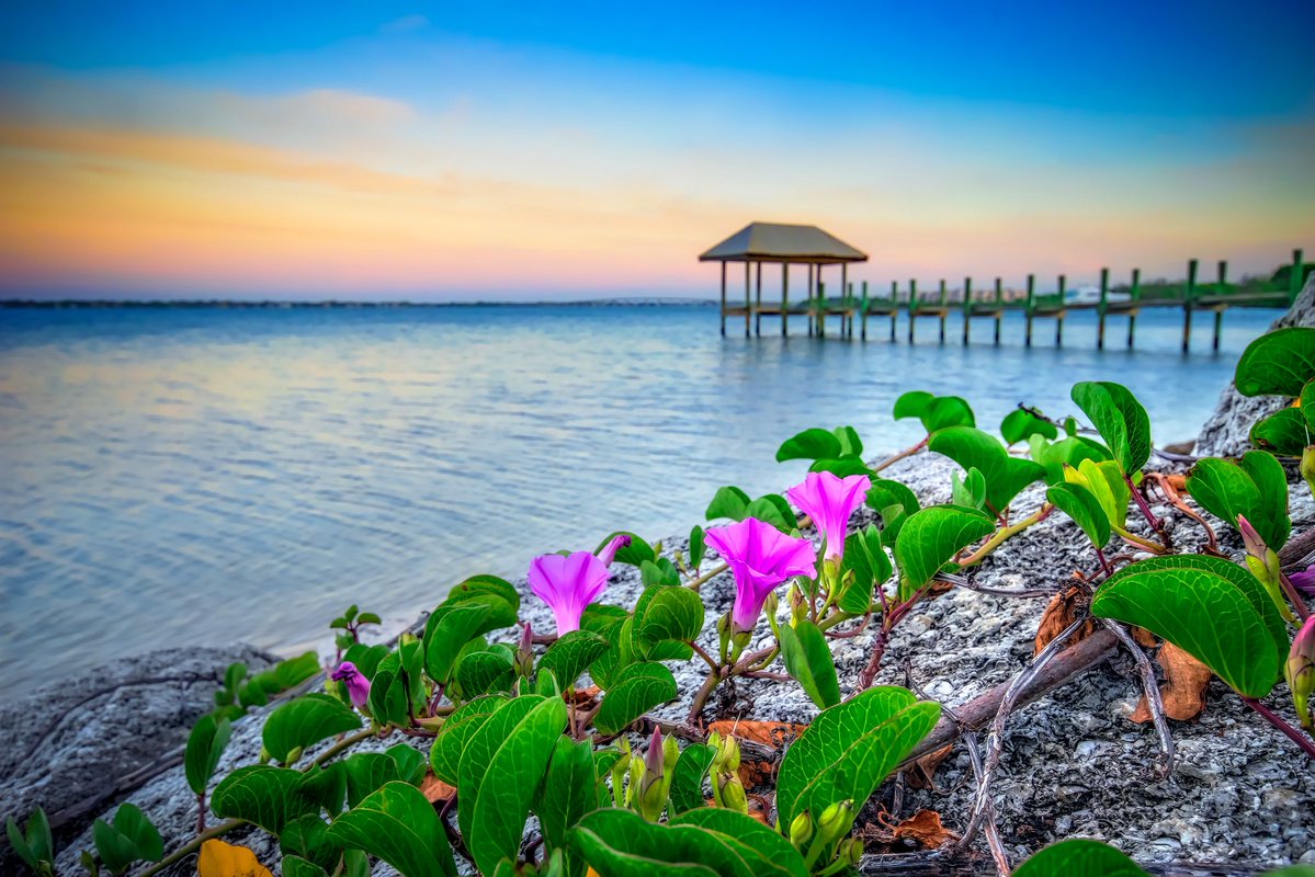 DiscoverMartin tweet media