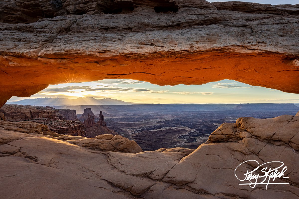 Perry Ralph tweet media