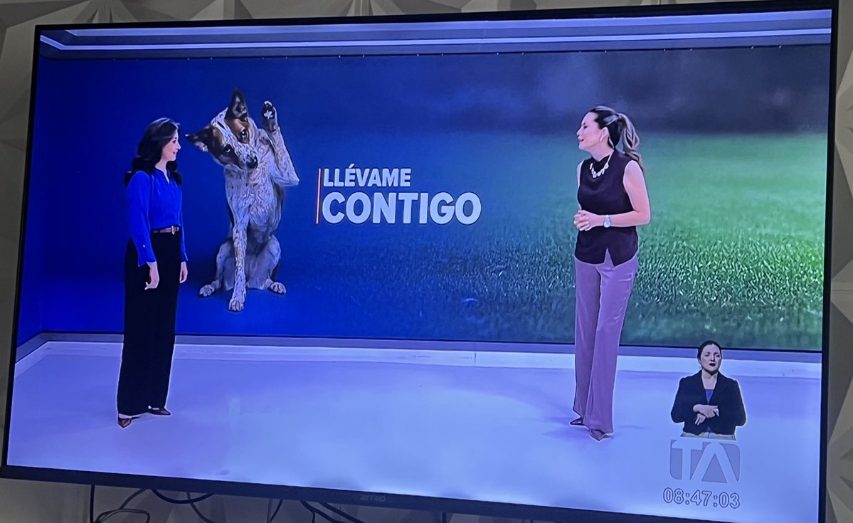 𝕏𝕚𝕠𝕞𝕒𝕣𝕒 𝔻𝕖 𝕝𝕒 𝕋𝕠𝕣𝕣𝕖 🌸 tweet media