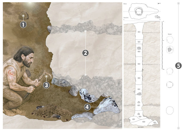 ILLUSTRACIENCIA tweet media