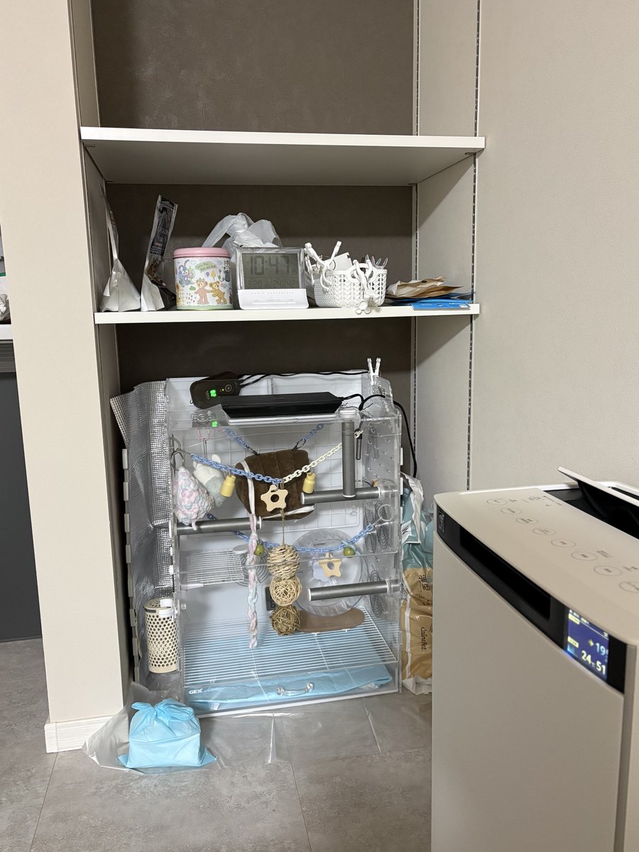 ぷぅちゃす😈🪽ただの水色のヒト tweet media