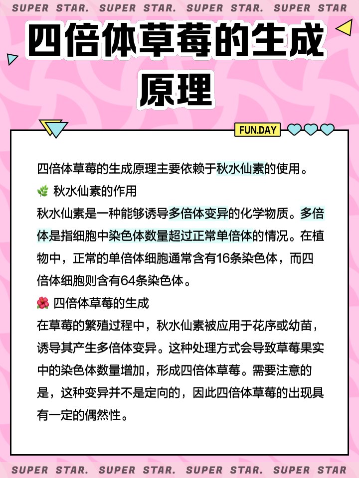 LifeOfRemi tweet media