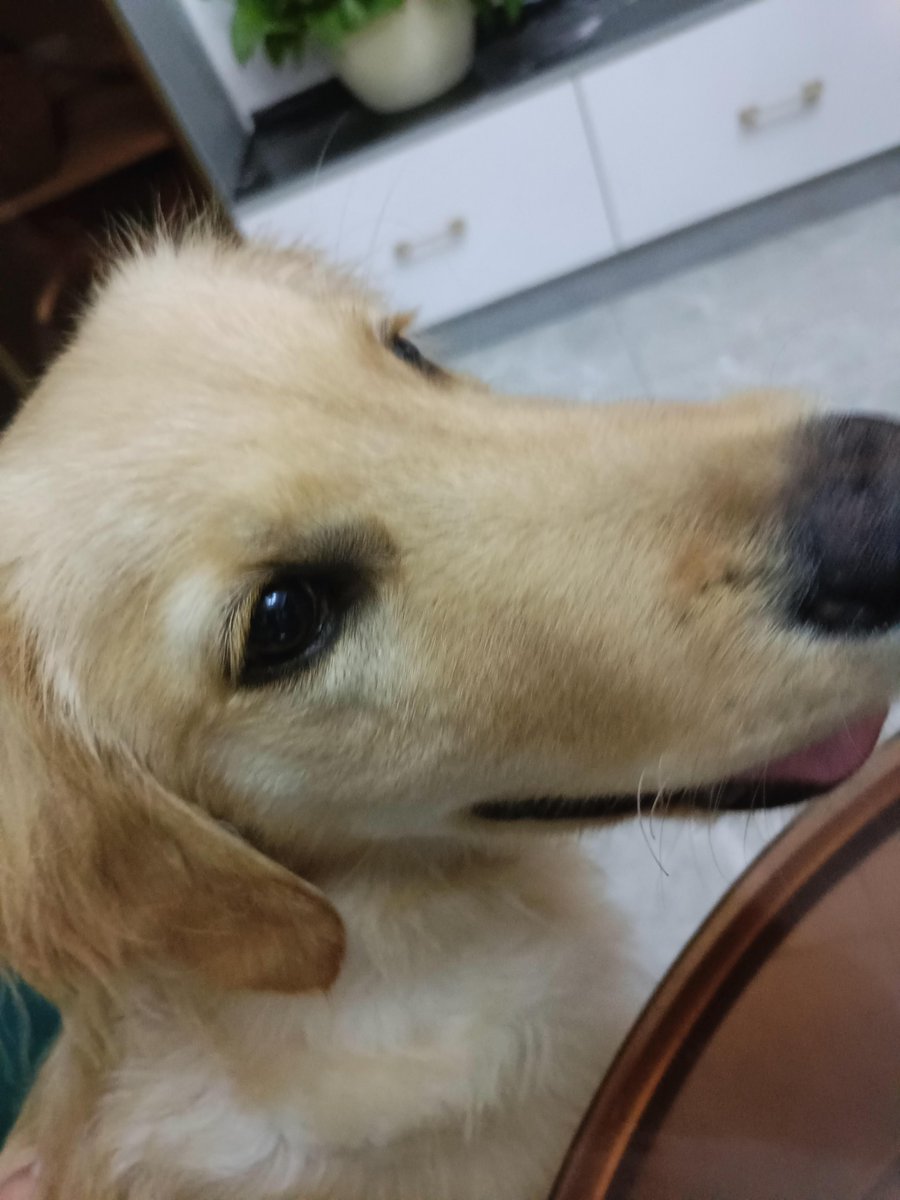 ; kimberlyle tweet media