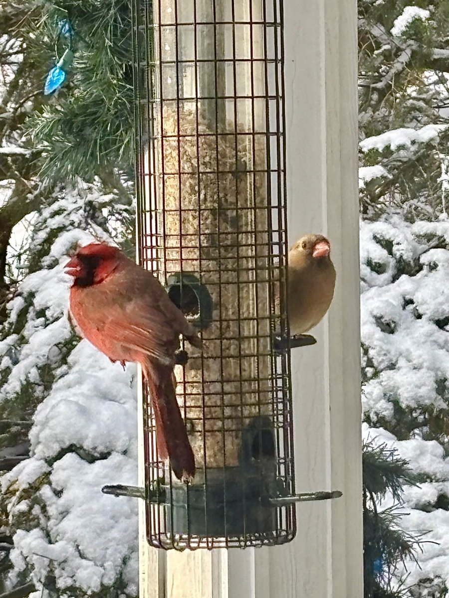 Ian Black tweet media