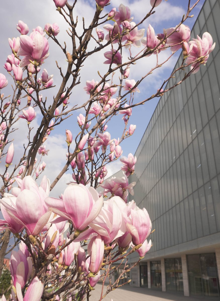 University of Pécs Library and Knowledge Centre tweet media