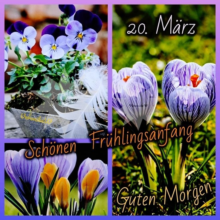 Muttertier tweet media