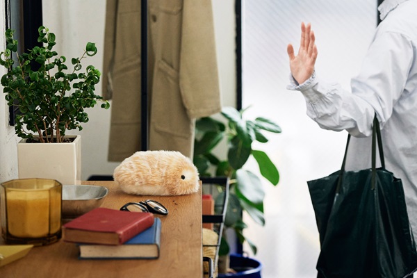 キナリノ公式 tweet media