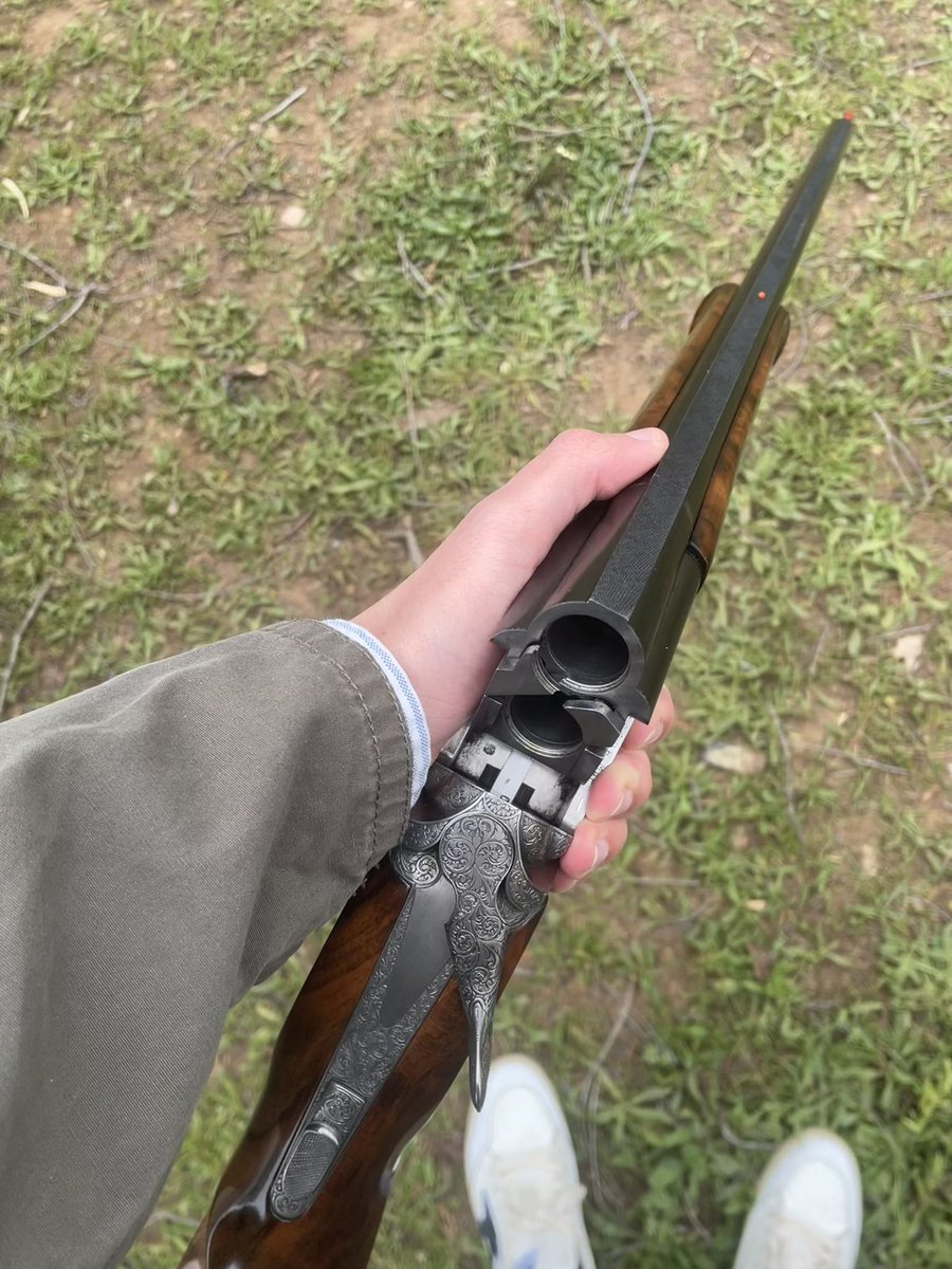 Pingu 🇻🇦 tweet media