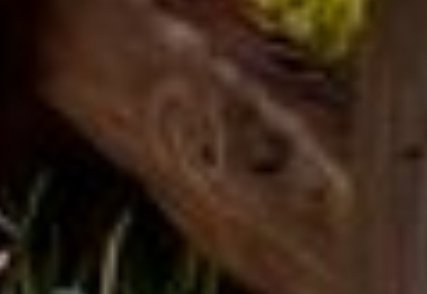 Kelvinofweb3 tweet media