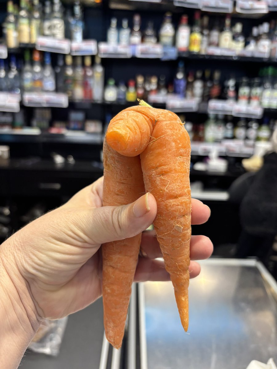 Noa 👾 tweet media