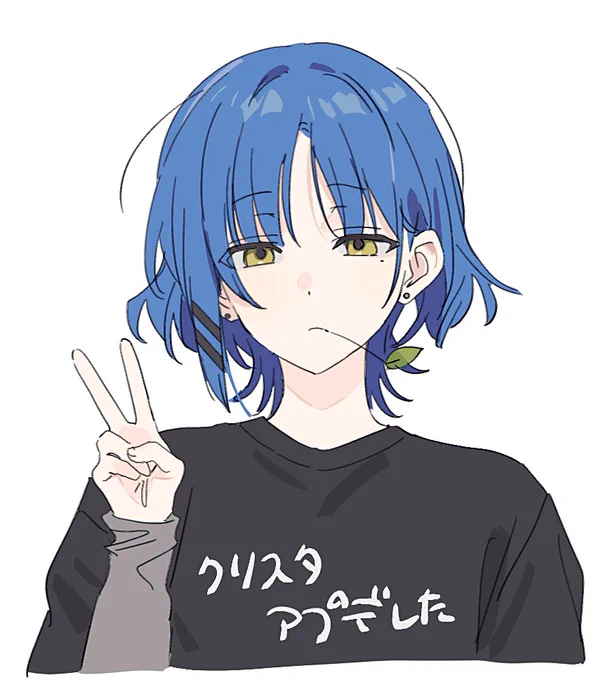 活用できるか微妙だ…