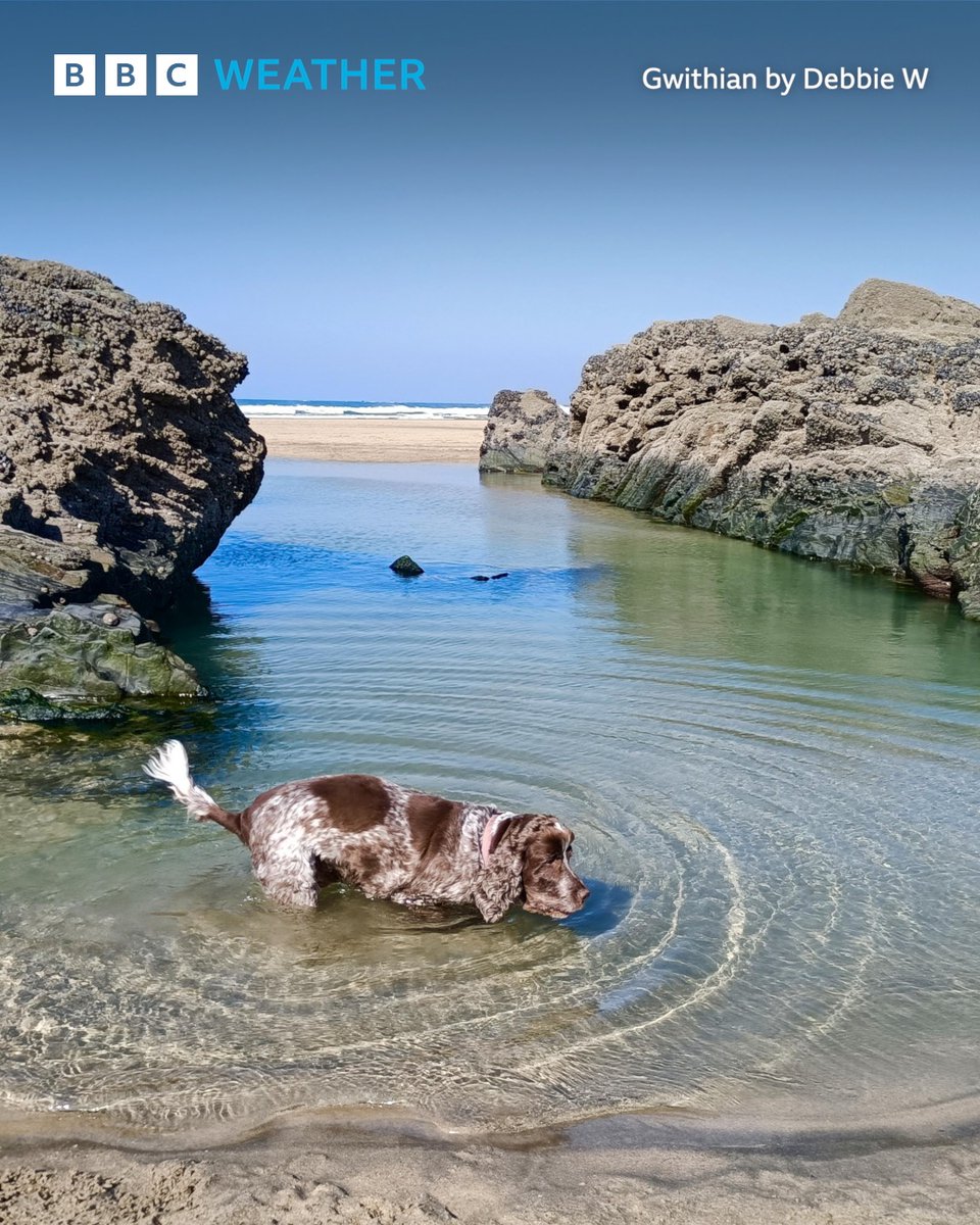 BBC Cornwall tweet media