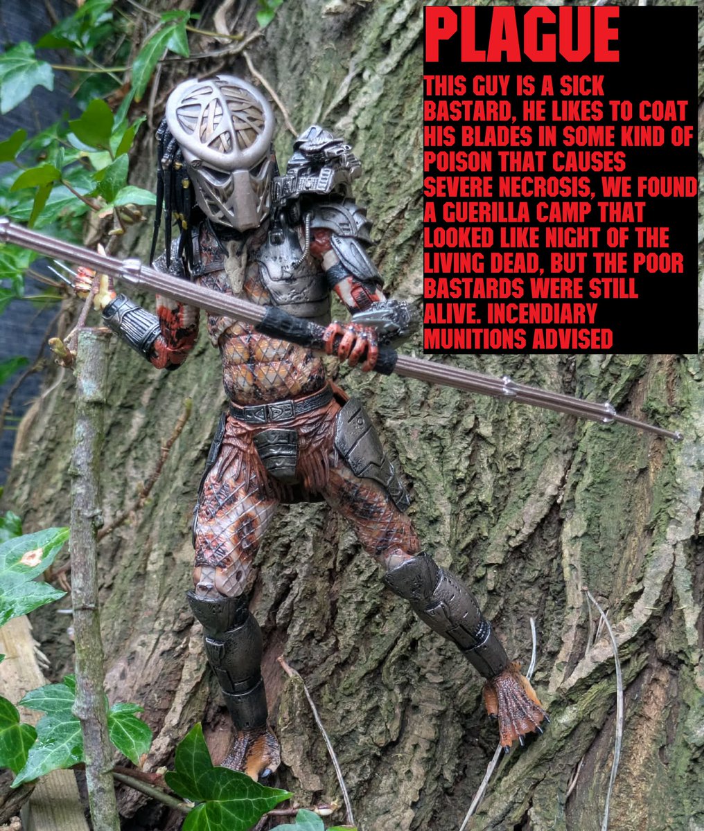 Dane Mercer tweet media