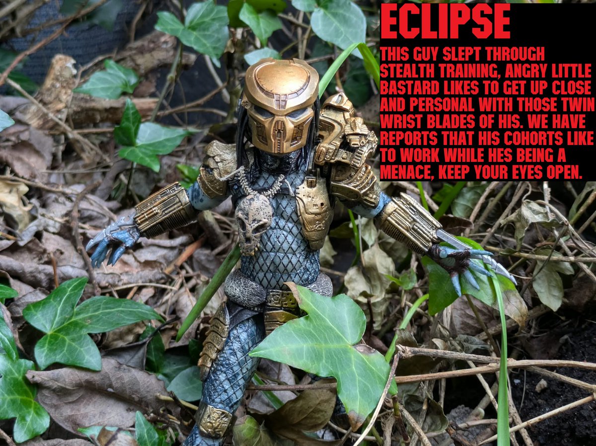 Dane Mercer tweet media