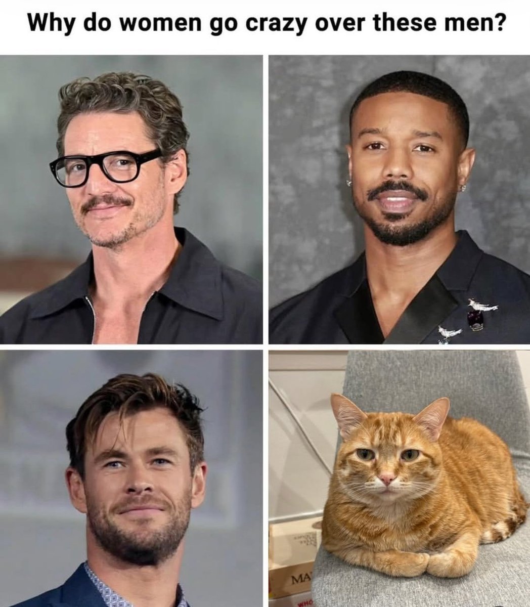 WareHouse ๐ฆ
tweet media