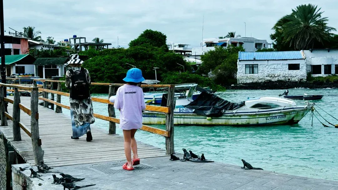 devidchen tweet media