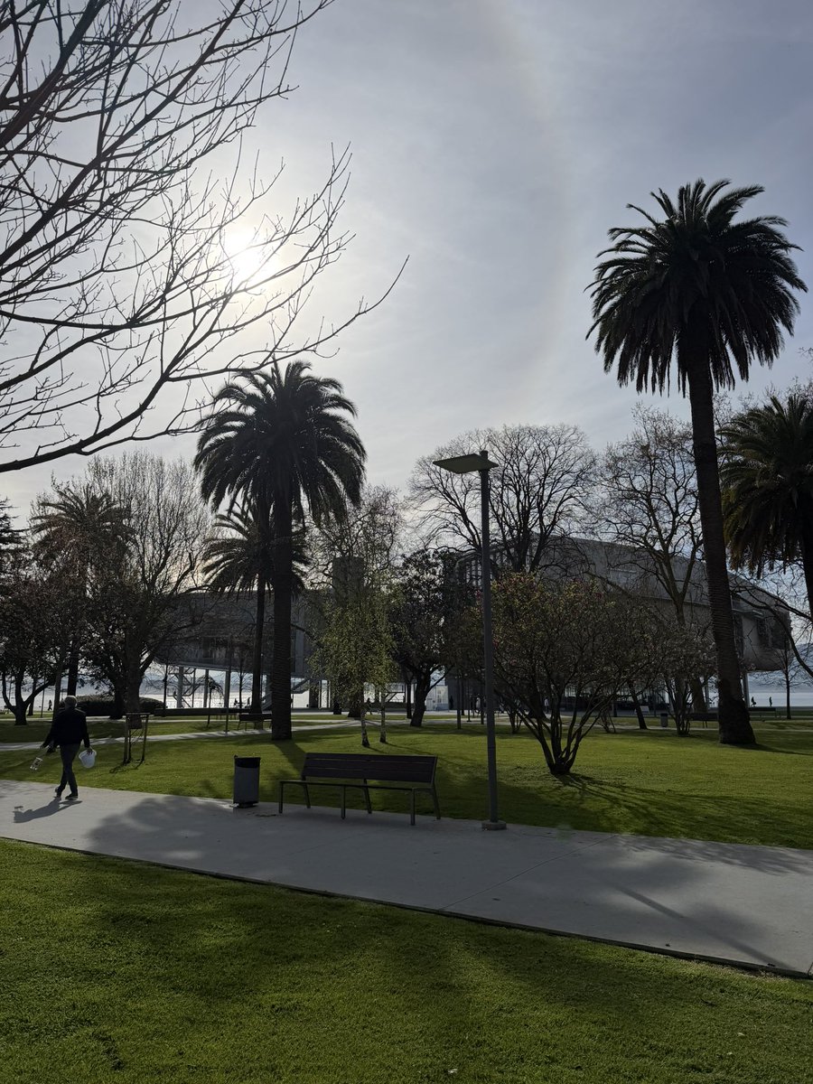 Raquel Barbadillo tweet media