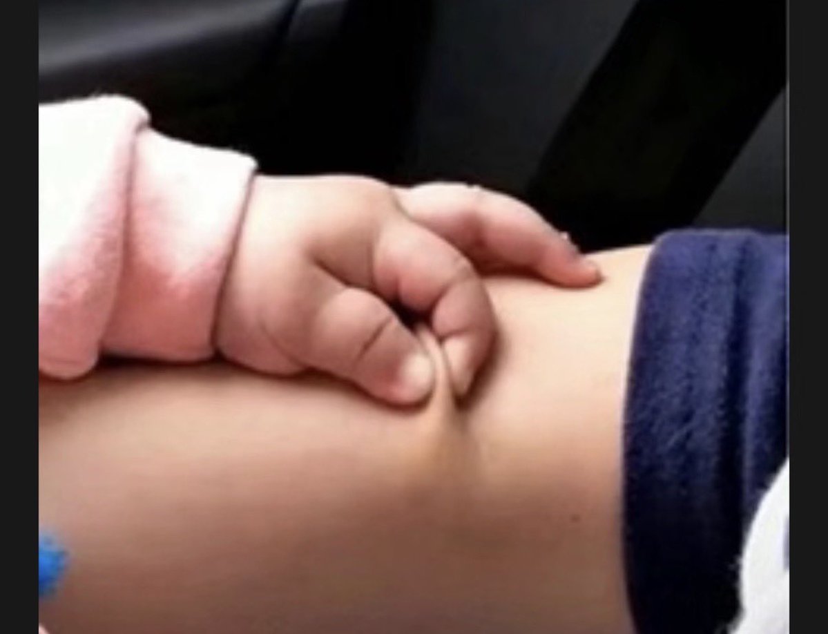 Bella. Chen tweet media