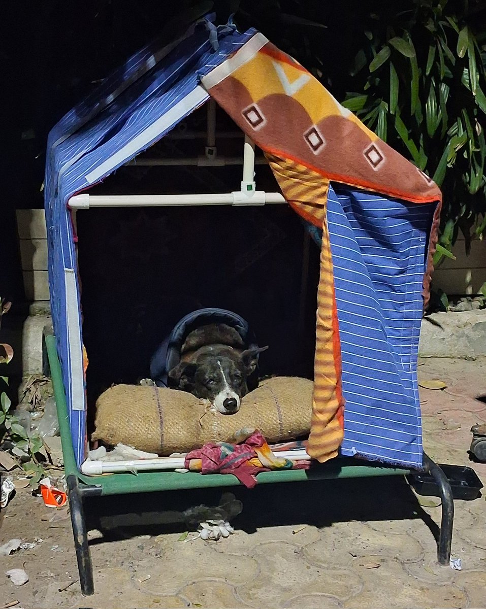 Pallavi U Dar tweet media