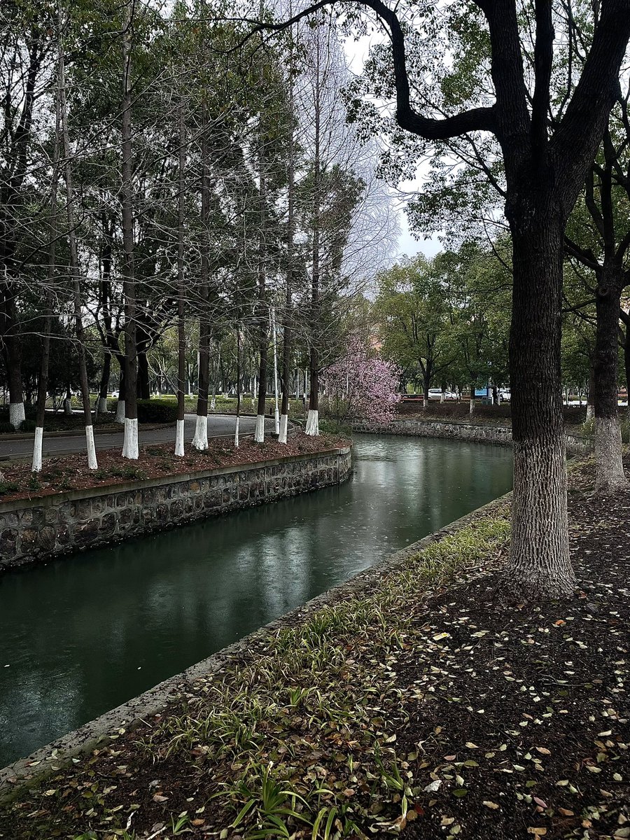 roxanne25870520's tweet photo. 雨都停了这片天灰什么呢 https://t.co/pZulE6QwEQ