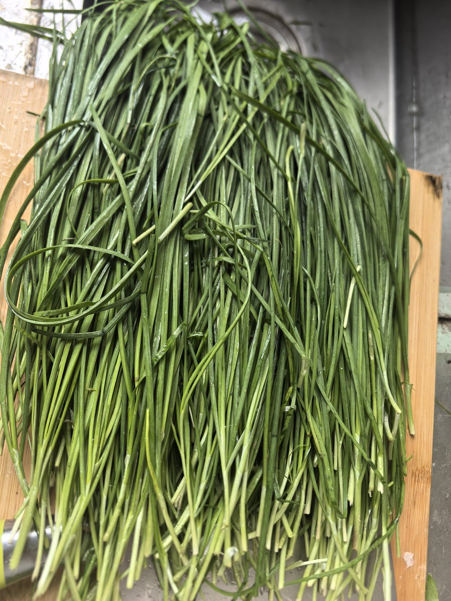 ch dolla tweet media