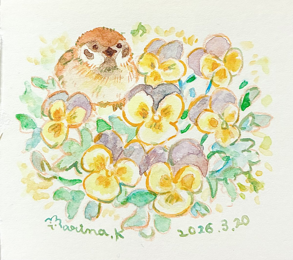 かわむらまりな tweet media