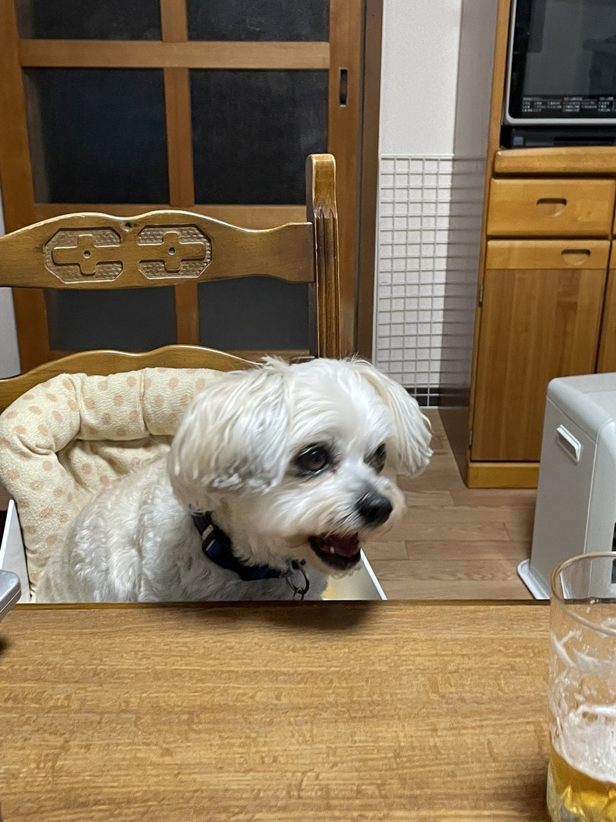 ちょろＱ❄︎加賀ゆびぬき 赤 穂 堂❄︎ tweet media