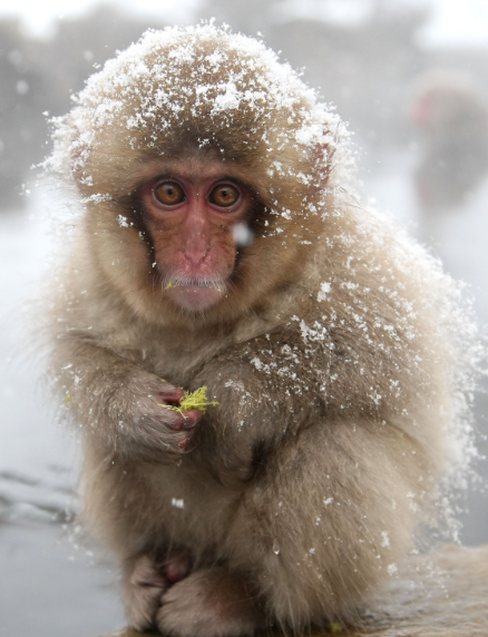 WPEC CBS12 News tweet media