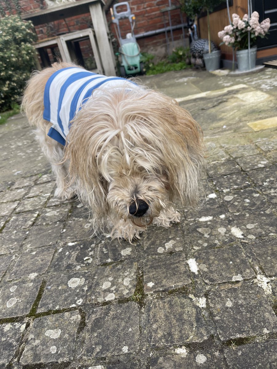 Lord Alfred’s Diary tweet media