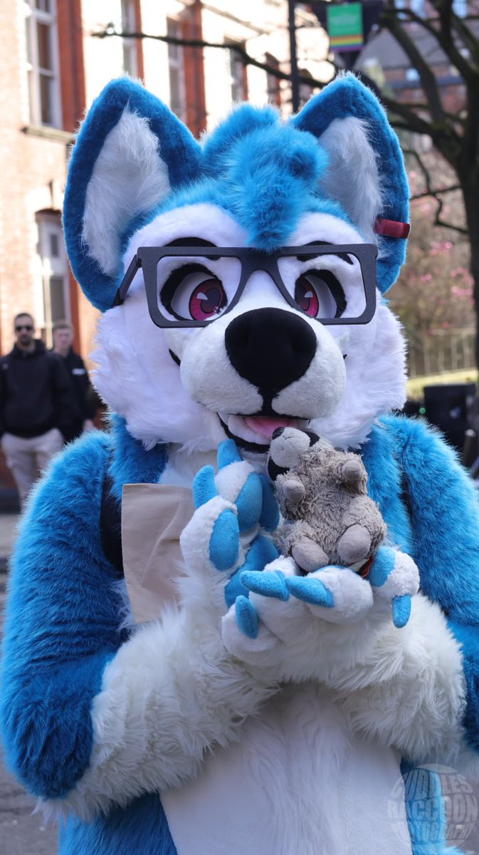 Adam Curly 🔜CFz, MP, Furrific & MFF tweet media