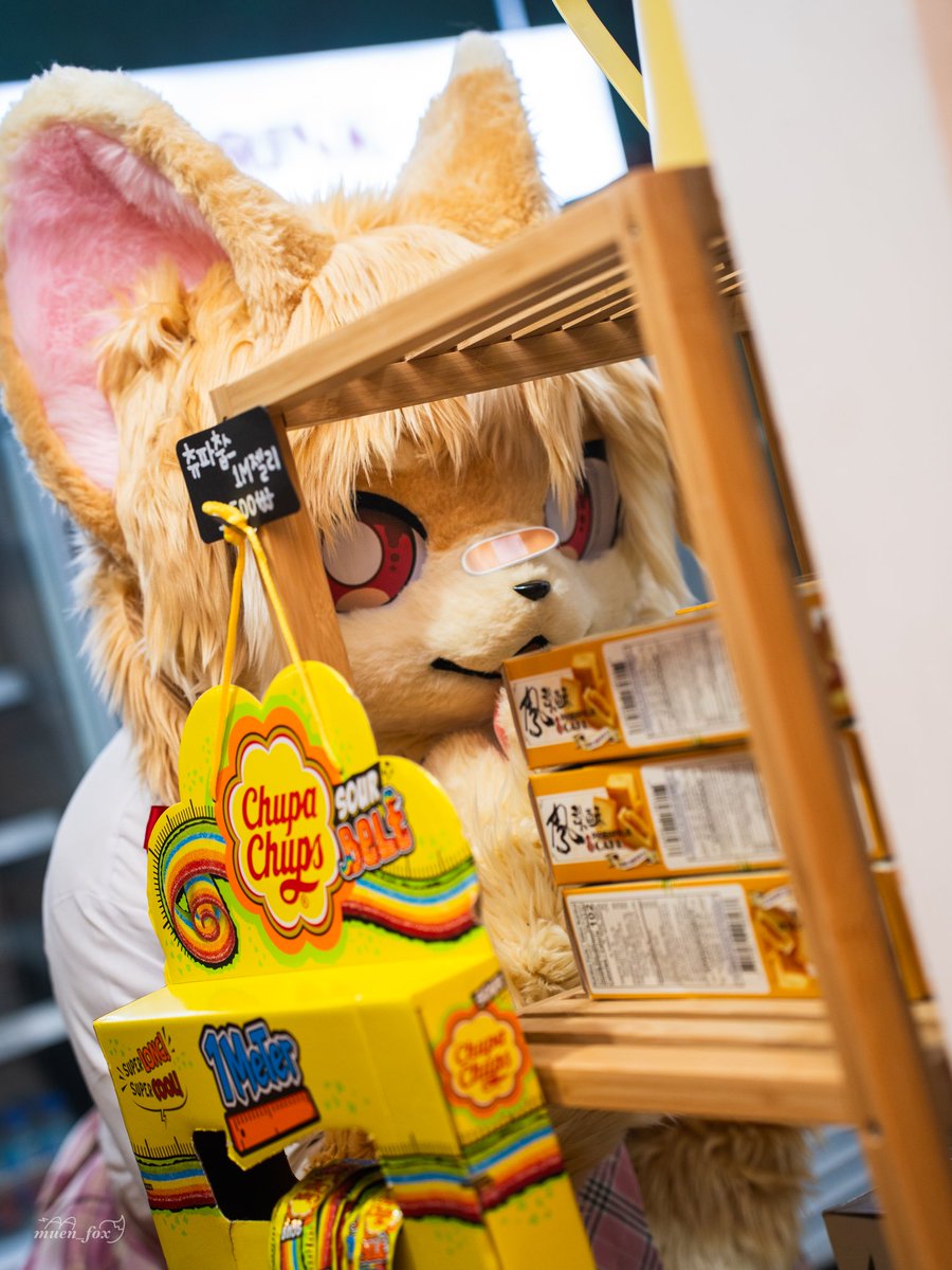 개좋은 빛살구 tweet media