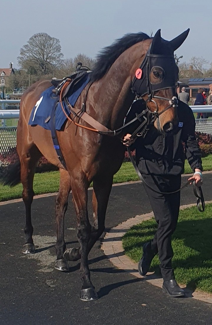 Steve Williams tweet media