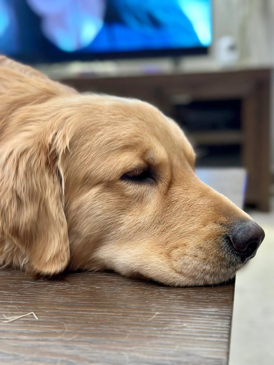 steve brown tweet media