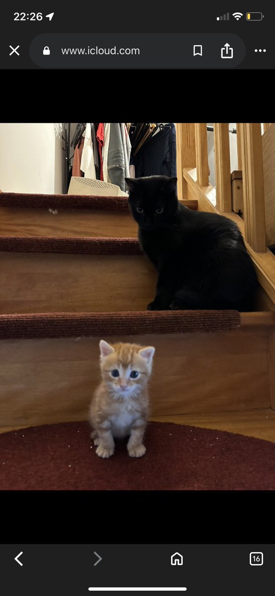 𝑭𝒊𝒏𝒏 tweet media