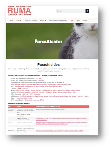 RUMA CA&E tweet media